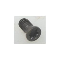 Replacement Swiss Torx Screw